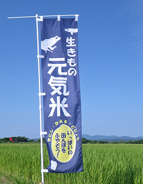 元気な旗