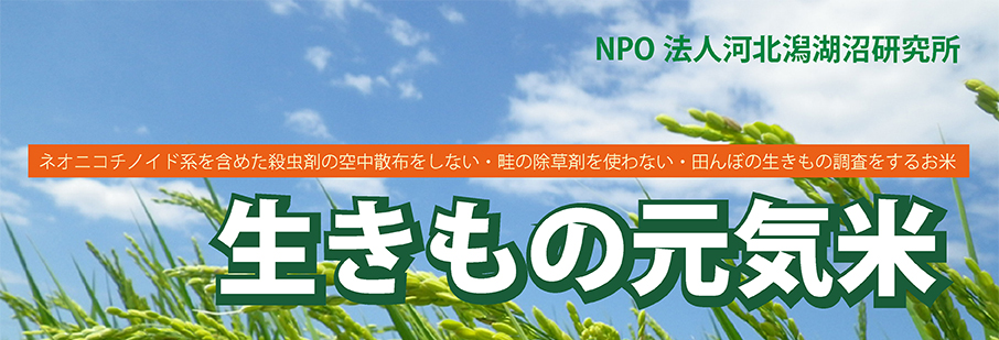 生きもの元気米