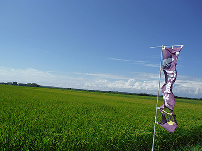 8月18日Oneさんの田んぼ2