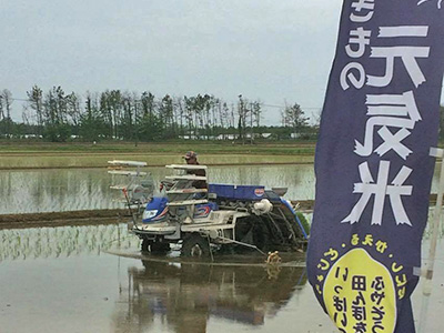 田植え中のOSa7475