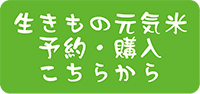 購入はこちら