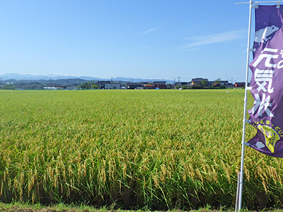 8月29日