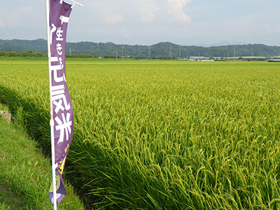 8月6日様子