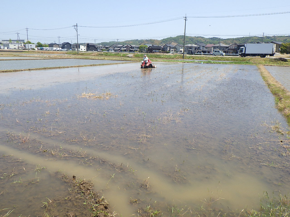 代掻き