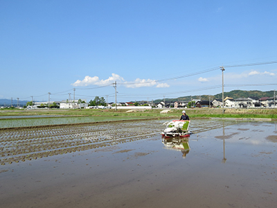 4月16日荒おこし中