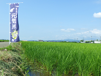 7月17日様子
