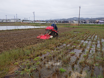 2020426田んぼの様子