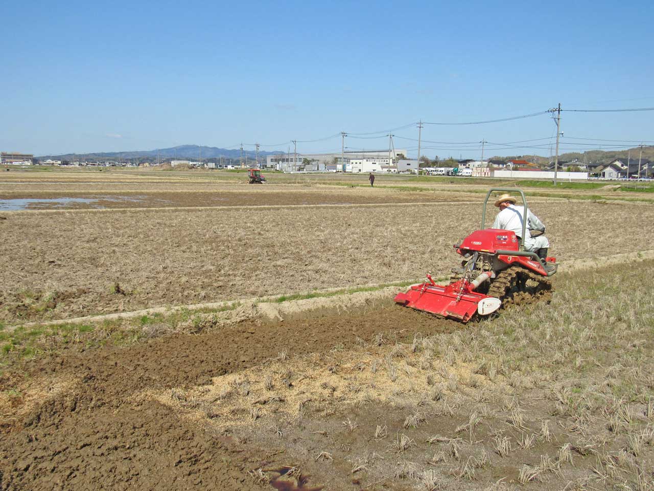 2021429田んぼの様子
