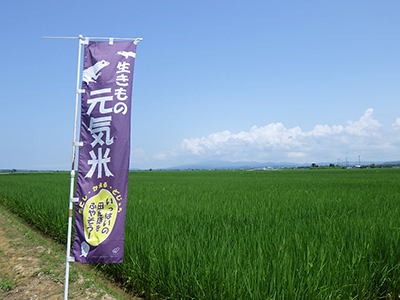 7月17日様子