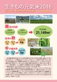 河北潟の水辺保全