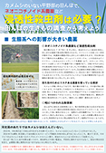 河北潟の水辺保全