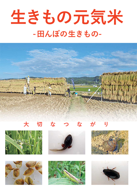生きもの元気米