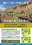 蛙いっぱいの田んぼを河北潟にとりもどそう