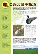 鴨と河北潟干拓地