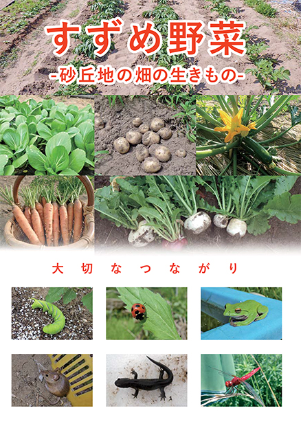 砂丘地の畑の生きもの