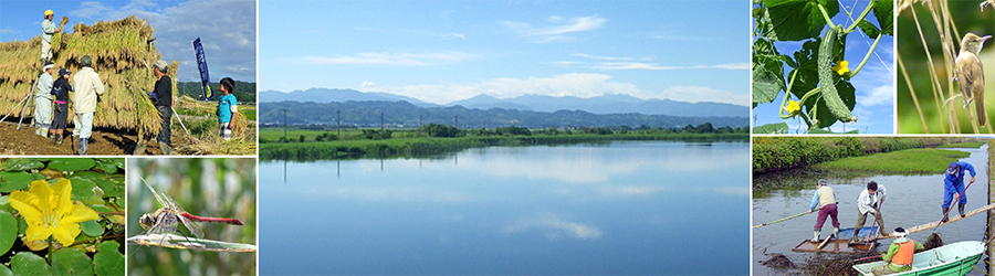 河北潟湖沼研究所