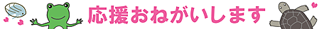 応援のお願い
