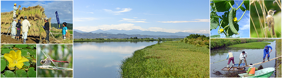 河北潟湖沼研究所