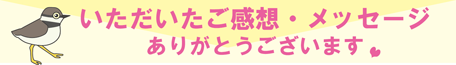 みなさまからのご感想